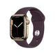  Gold Stainless Steel + Dark Cherry Sport Band